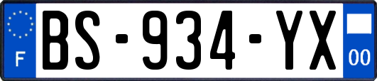 BS-934-YX