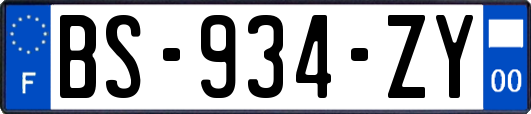 BS-934-ZY
