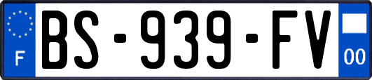 BS-939-FV
