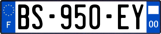 BS-950-EY