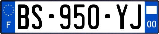 BS-950-YJ