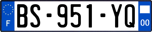 BS-951-YQ