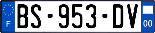 BS-953-DV