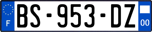 BS-953-DZ