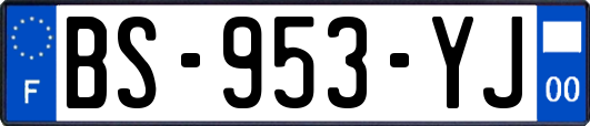BS-953-YJ
