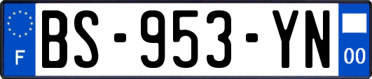 BS-953-YN