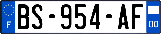 BS-954-AF