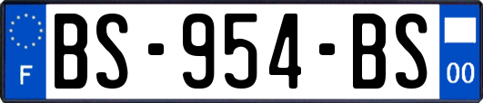 BS-954-BS