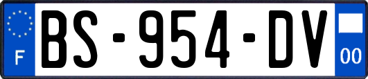 BS-954-DV