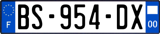 BS-954-DX