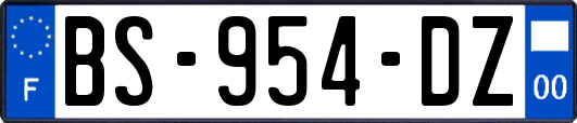 BS-954-DZ