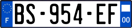 BS-954-EF