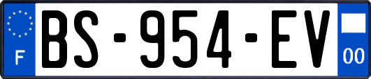 BS-954-EV