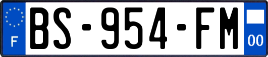 BS-954-FM