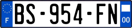 BS-954-FN