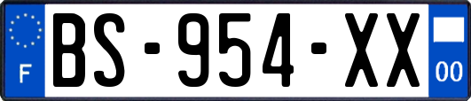 BS-954-XX