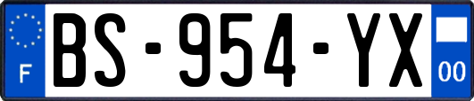 BS-954-YX
