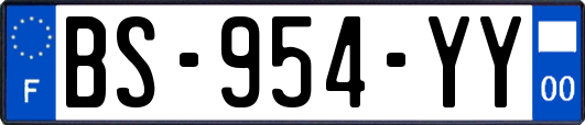 BS-954-YY