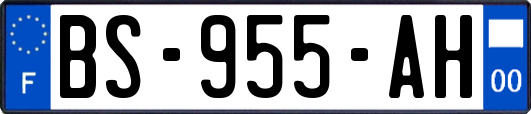 BS-955-AH