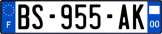 BS-955-AK