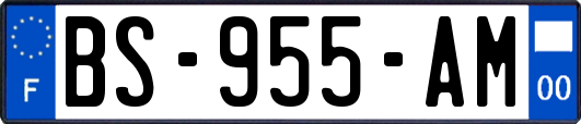 BS-955-AM