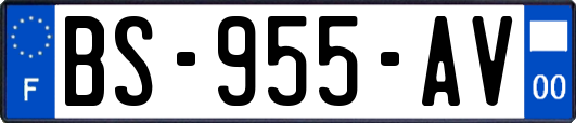 BS-955-AV