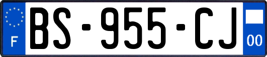 BS-955-CJ