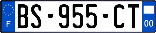 BS-955-CT