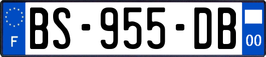 BS-955-DB