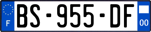 BS-955-DF