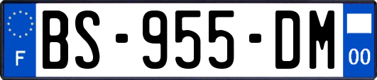 BS-955-DM