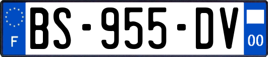 BS-955-DV