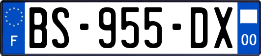 BS-955-DX