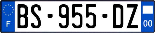 BS-955-DZ