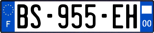 BS-955-EH