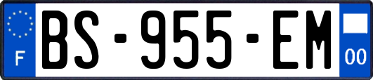 BS-955-EM