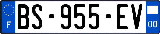 BS-955-EV