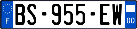 BS-955-EW