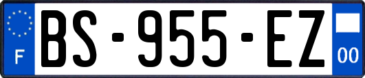 BS-955-EZ