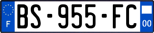 BS-955-FC