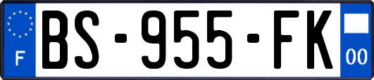 BS-955-FK