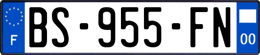 BS-955-FN
