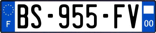 BS-955-FV
