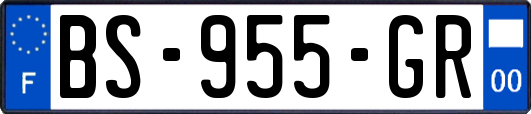 BS-955-GR