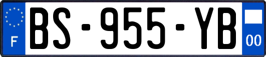 BS-955-YB
