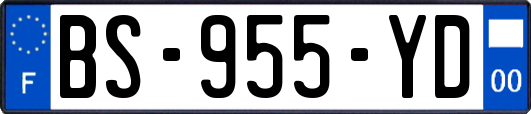 BS-955-YD