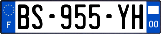 BS-955-YH