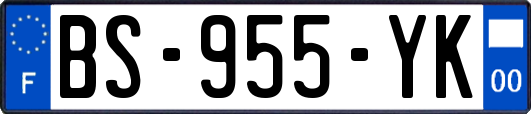 BS-955-YK