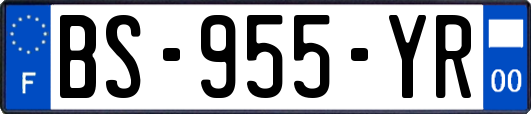 BS-955-YR