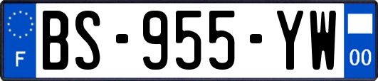 BS-955-YW